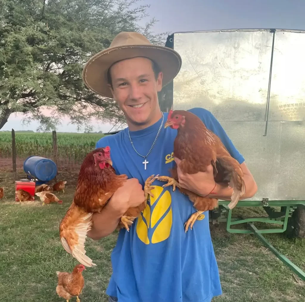 Juan Antonio Gizzi gallinas ponedoras