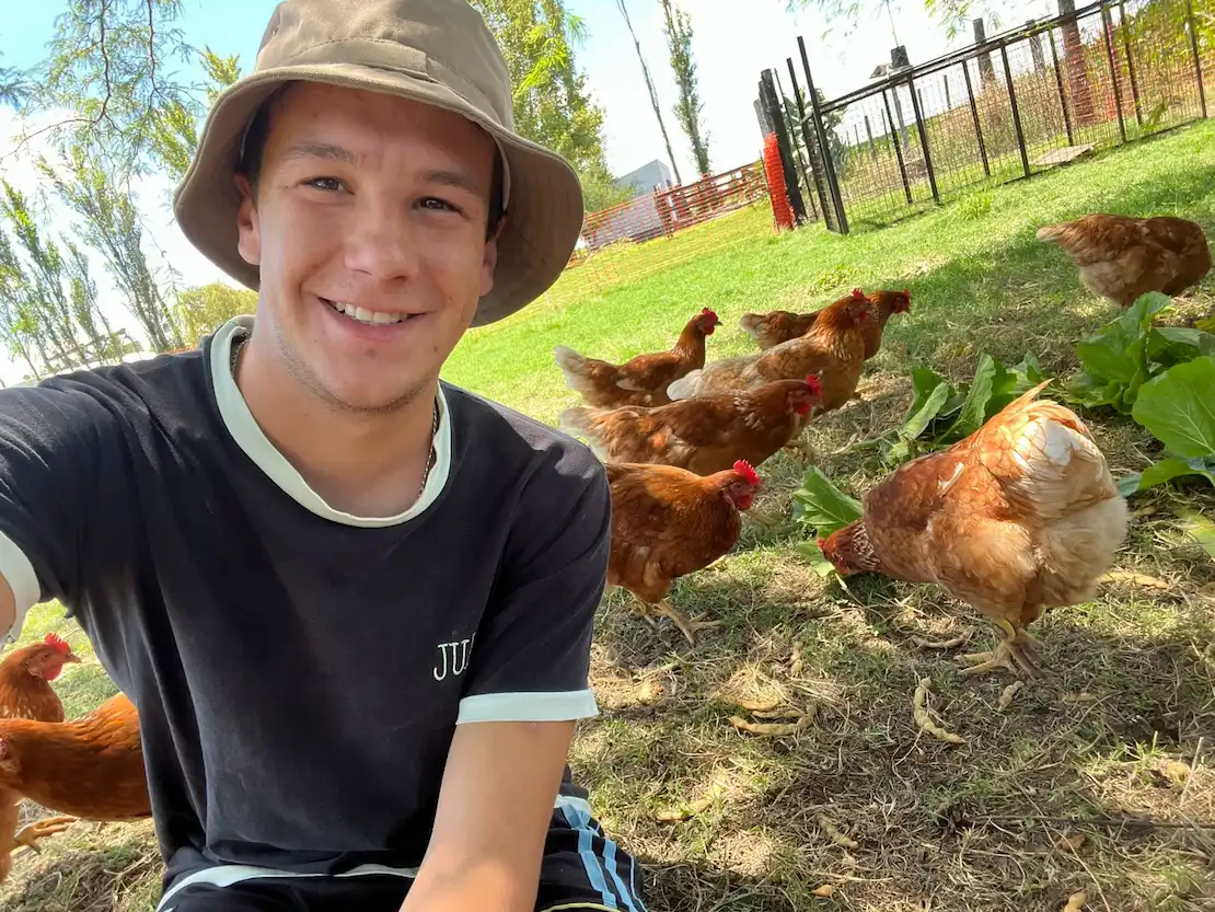 El estudiante que eligi├│ una forma РђюamigableРђЮ de criar gallinas ponedoras