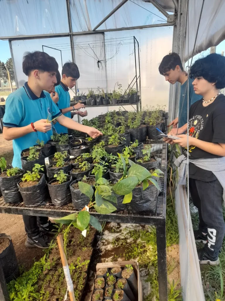 Peperina en Villa María: promueven el cultivo fuera de su entorno natural