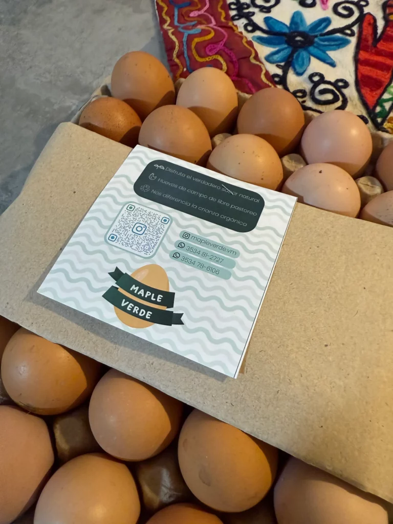 El emprendimiento familiar que pone huevos saludables en la mesa de la región