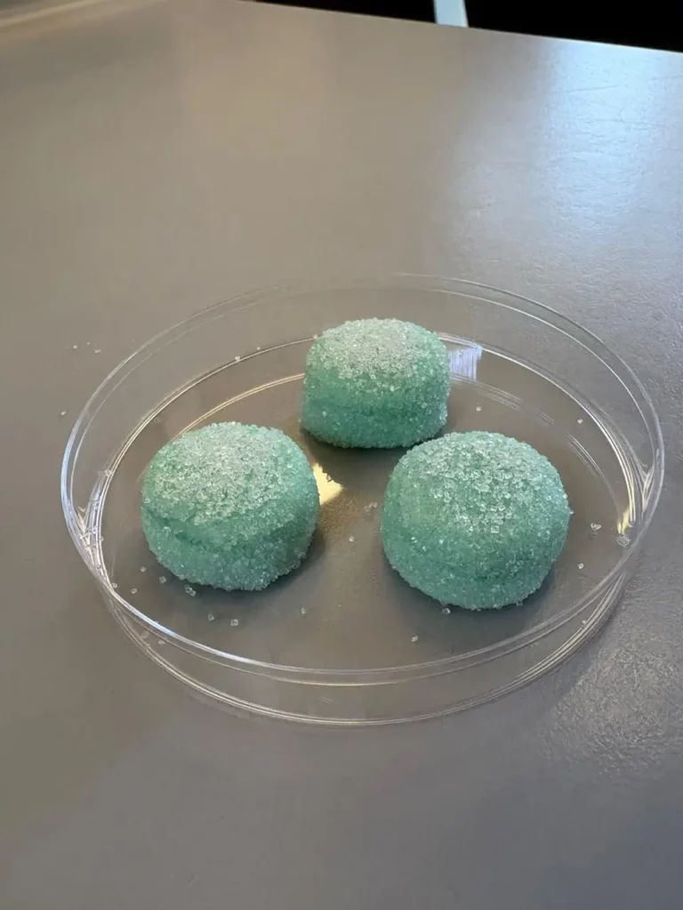 Desarrollan gomitas saludables a base de Peperina, con beneficios para la salud
