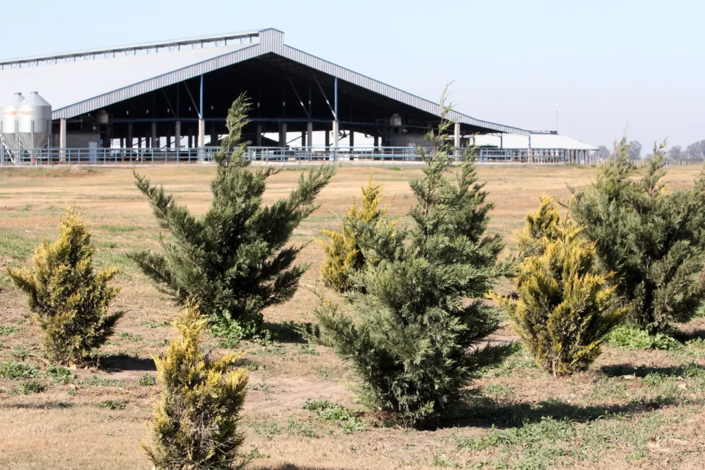 Grupo Don Emilio midió su huella de carbono y se convierte en pionero en la industria láctea cordobesa
