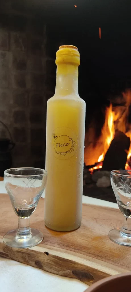 Ficco, la marca villamariense que transforma frutas, flores y especias en licores artesanales