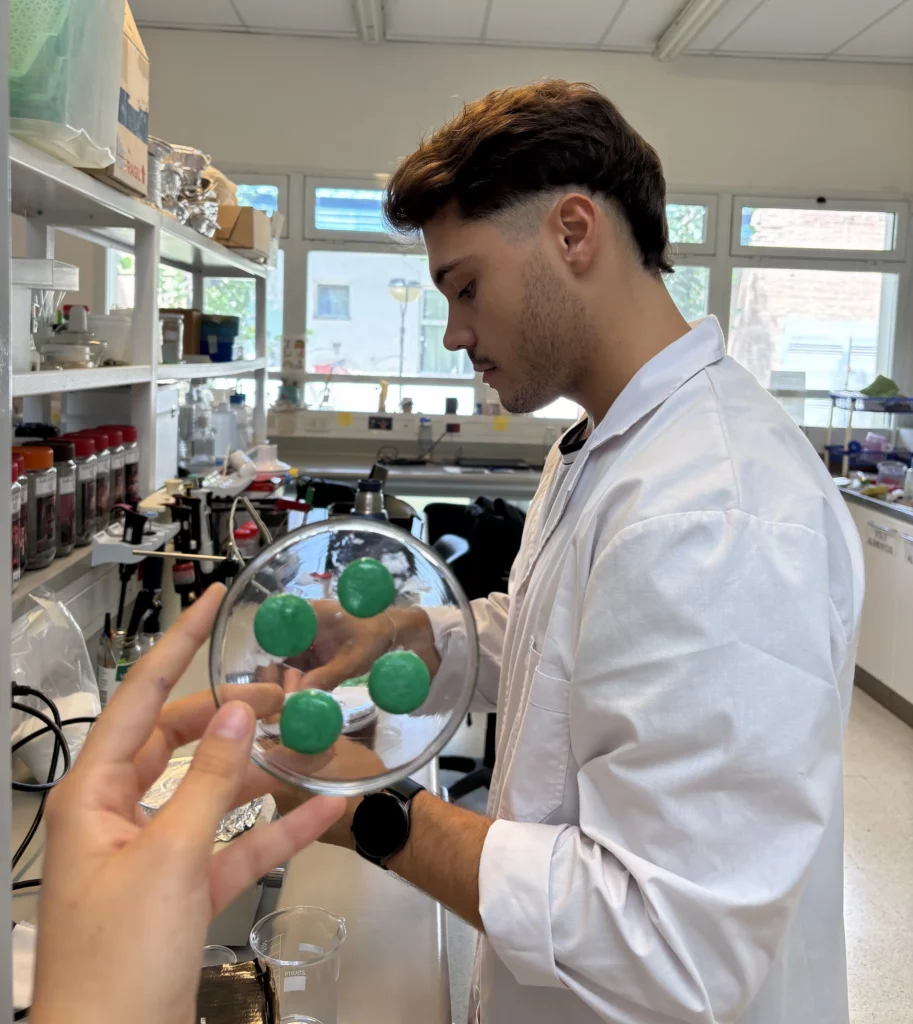Alquimia Nativa: un proyecto que busca transformar el mundo de las golosinas saludables