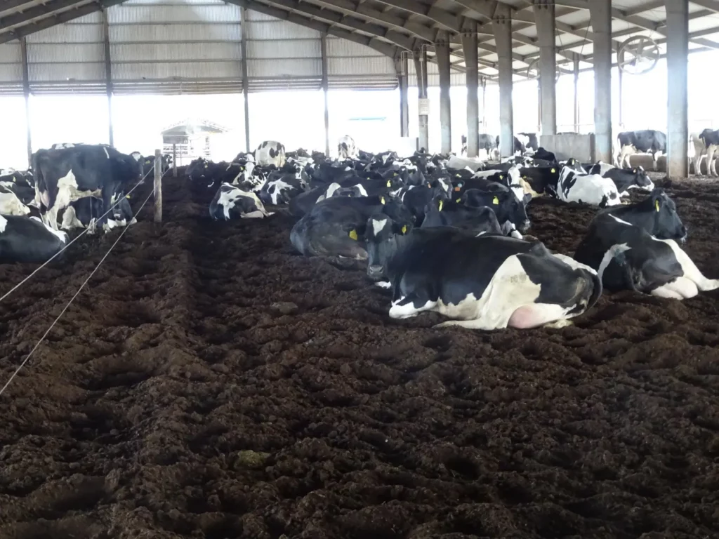 Una herramienta creada en la UNVM permitirá anticipar problemas en tambos